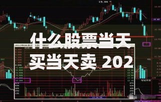 什么股票当天买当天卖 2024年T+0股票名单大全投资指南速查