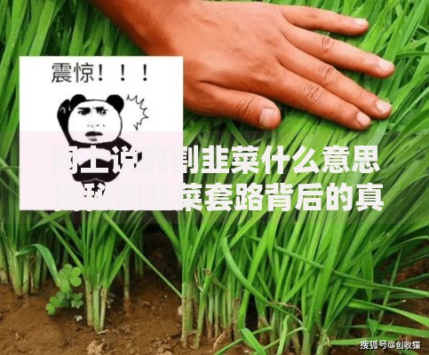 网上说的割韭菜什么意思 揭秘割韭菜套路背后的真相 网上说的割韭菜什么意思 揭秘割韭菜套路背后的真相