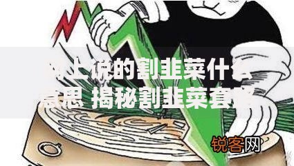 网上说的割韭菜什么意思 揭秘割韭菜套路背后的真相 网上说的割韭菜什么意思 揭秘割韭菜套路背后的真相