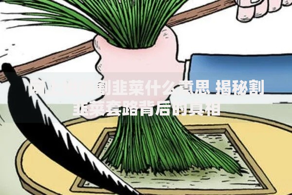 网上说的割韭菜什么意思 揭秘割韭菜套路背后的真相 网上说的割韭菜什么意思 揭秘割韭菜套路背后的真相