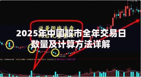2025年中国股市全年交易日数量及计算方法详解