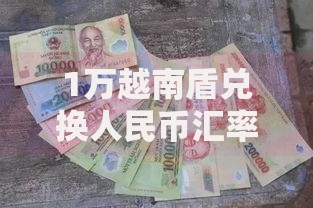 1万越南盾兑换人民币汇率是多少