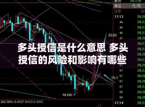 多头授信是什么意思 多头授信的风险和影响有哪些