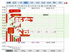 新东方上市公司深度解析全面了解其上市状态与股票信息
