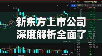 新东方上市公司深度解析全面了解其上市状态与股票信息