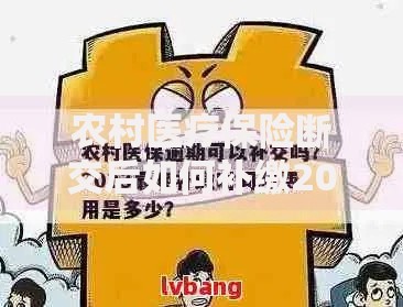农村医疗保险断交后如何补缴2025年最新补缴流程和等待期规定
