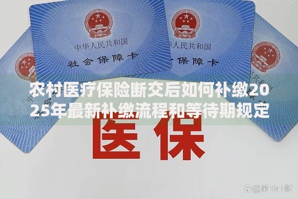 农村医疗保险断交后如何补缴2025年最新补缴流程和等待期规定