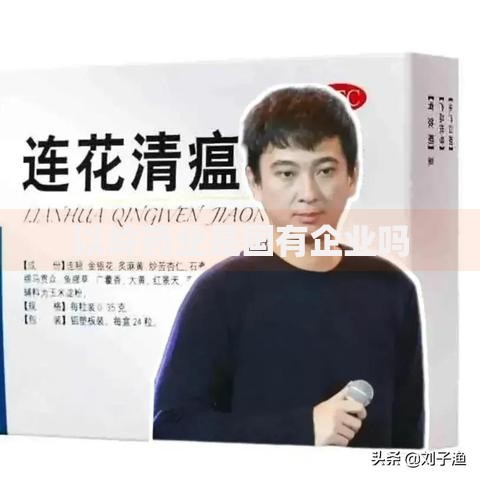 以岭药业是国有企业吗