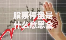 股票停盘是什么意思全面解析停盘原因时间影响及应对方法