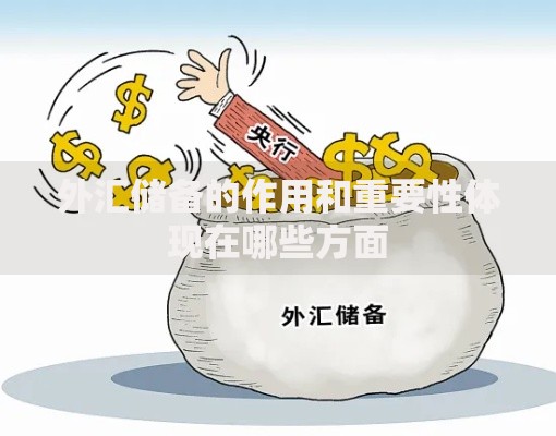 外汇储备的作用和重要性体现在哪些方面