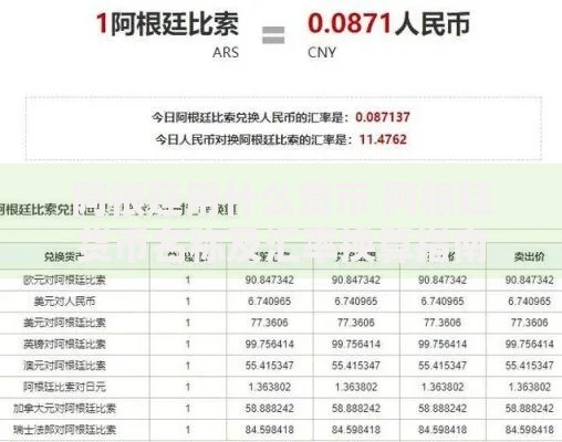 阿根廷用什么货币 阿根廷货币名称及汇率换算指南