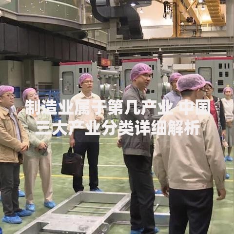 制造业属于第几产业 中国三大产业分类详细解析