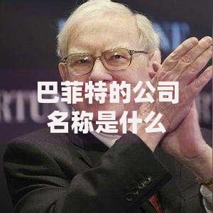巴菲特的公司名称是什么