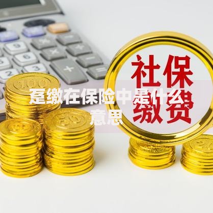 趸缴在保险中是什么意思
