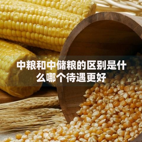 中粮和中储粮的区别是什么哪个待遇更好