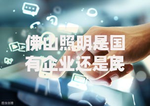 佛山照明是国有企业还是民营企业
