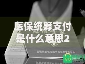 医保统筹支付是什么意思2025年最新政策解读