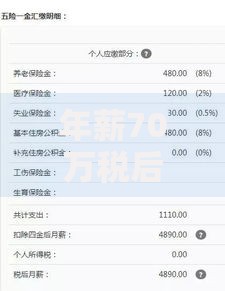 年薪70万税后实际到手能拿多少 揭秘高收入人群真实薪资