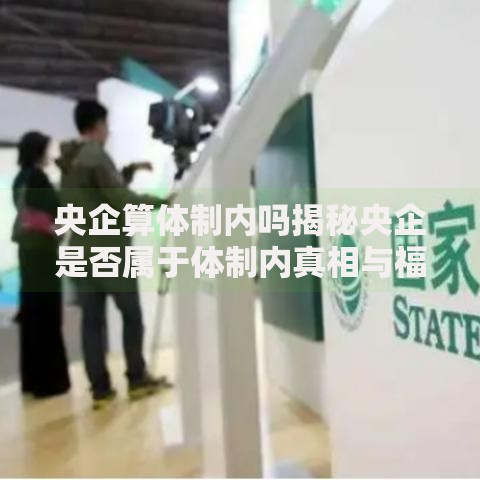 央企算体制内吗揭秘央企是否属于体制内真相与福利解析