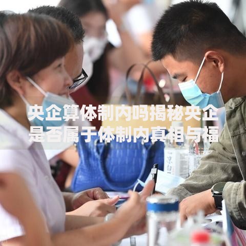 央企算体制内吗揭秘央企是否属于体制内真相与福利解析