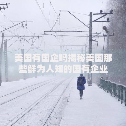美国有国企吗揭秘美国那些鲜为人知的国有企业