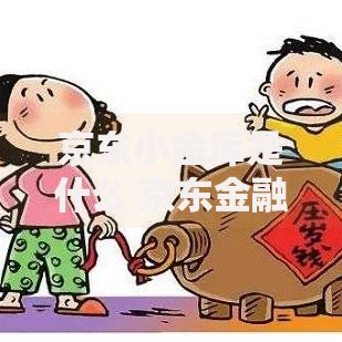 京东小金库是什么 京东金融这个理财神器你一定要知道