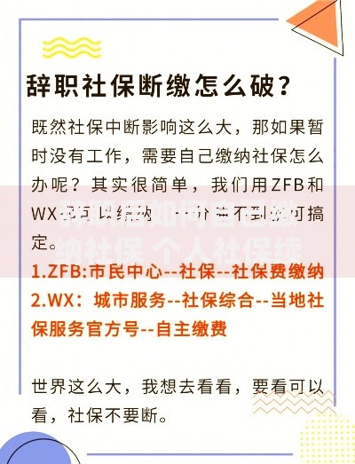 辞职后如何自己缴纳社保 个人社保续缴全攻略