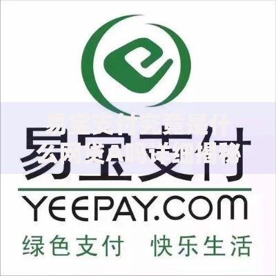 易宝支付究竟是什么网贷A吗详细揭秘真相