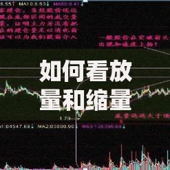 如何看放量和缩量图解及实战应用技巧