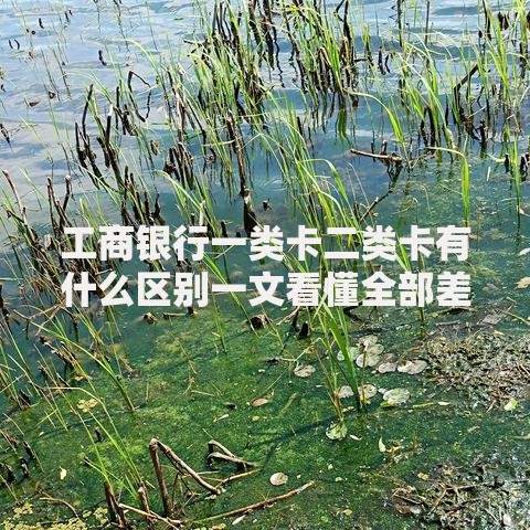 工商银行一类卡二类卡有什么区别一文看懂全部差异