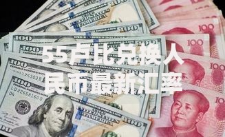 55卢比兑换人民币最新汇率查询 今日实时换算金额一目了然
