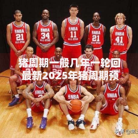 猪周期一般几年一轮回 最新2025年猪周期预测分析