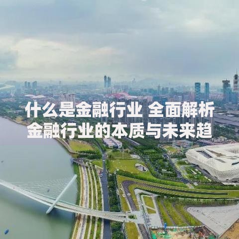 什么是金融行业 全面解析金融行业的本质与未来趋势