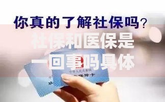 社保和医保是一回事吗具体区别在哪