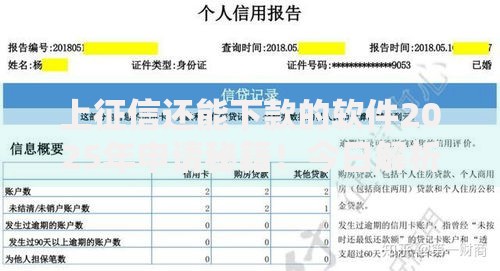 上征信还能下款的软件2025年申请秘籍！今日解析正规贷款平台借钱还能上征信