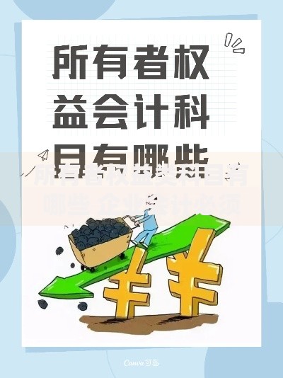 所有者权益类科目有哪些 企业会计必须掌握的10个核心科目详解