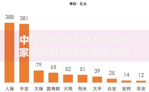中国人保和中国人寿是一家吗深度解析两者区别与关系