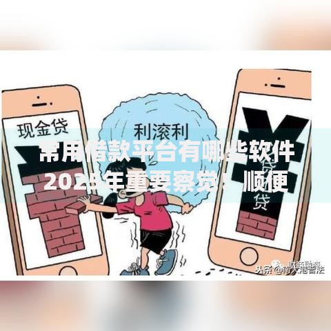 常用借款平台有哪些软件2025年重要察觉！顺便介绍这五个网贷口子有哪些app