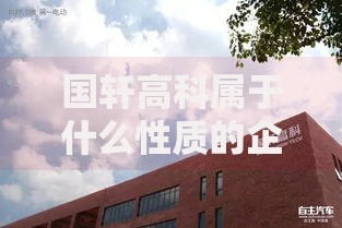 国轩高科属于什么性质的企业是国企还是私企