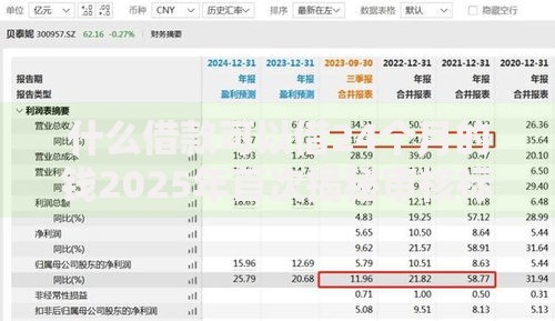 什么借款可以借24个月的钱2025年首次揭秘审核标准！汇聚这5个网贷平台可以借24个月的钱