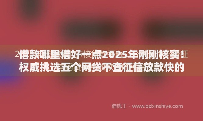 借款哪里借好一点2025年刚刚核实！权威挑选五个网贷不查征信放款快的平台