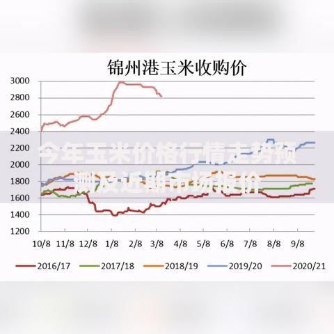 今年玉米价格行情走势预测及近期市场报价