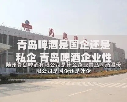 青岛啤酒是国企还是私企 青岛啤酒企业性质解析