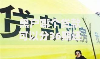 黑户哪个贷款可以分36期还10月口碑好的有挺多能选择的余地！本文为您深入挑选这5个黑户借钱软件！