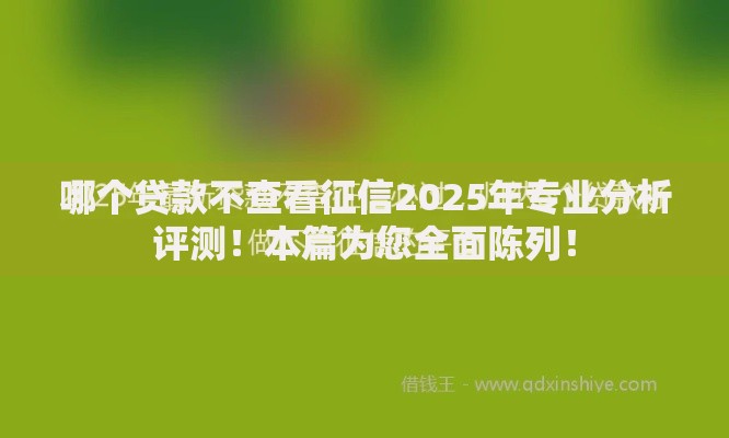 哪个贷款不查看征信2025年专业分析评测！本篇为您全面陈列！