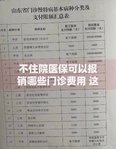 不住院医保可以报销哪些门诊费用 这5种慢特病直接报销95%