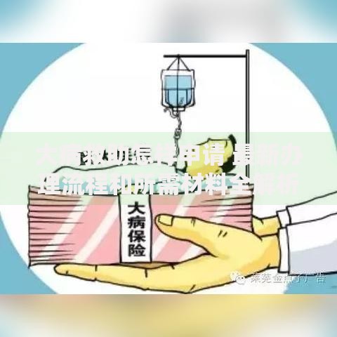 大病救助怎样申请 最新办理流程和所需材料全解析