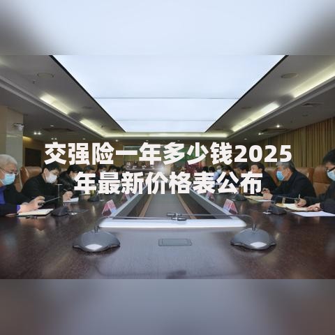 交强险一年多少钱2025年最新价格表公布