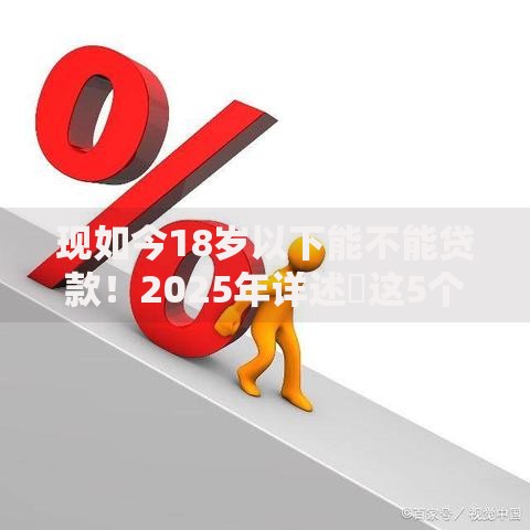 现如今18岁以下能不能贷款！2025年详述​这5个18岁以下能向网贷借钱口子