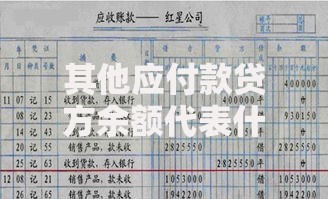 其他应付款贷方余额代表什么意思 会计科目解析